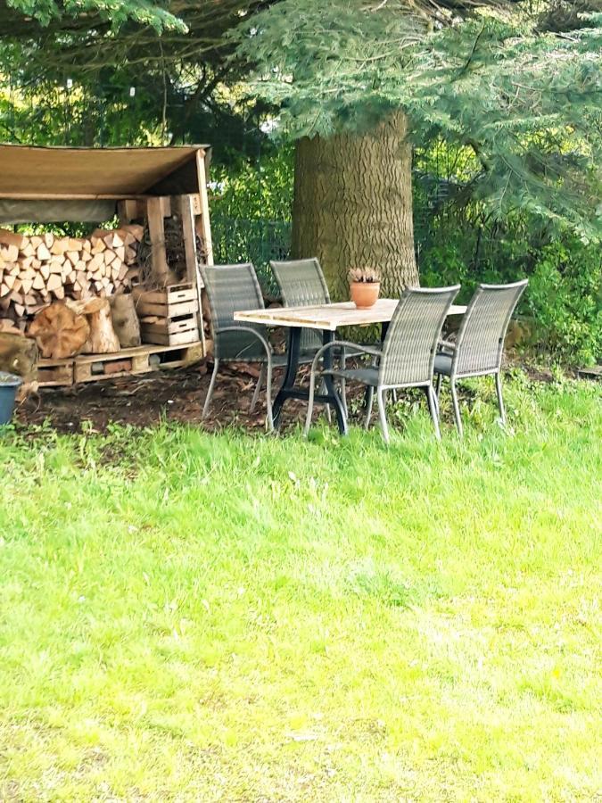 Ferienhaus Im Bergdorf Hohegeiss Bagian luar foto